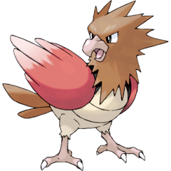 Spearow.png.82cabeb61a79f5af41c661a4eb86d9da.png